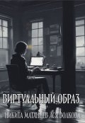 Обложка книги "Виртуальный образ"