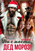 Обложка книги "Ни с места, Дед Мороз!"