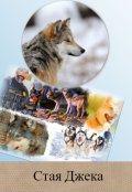 Обложка книги "Стая Джека"