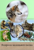 Обложка книги "Вопросы маленького волка"