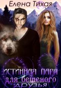 Обложка книги "Истинная пара для Бешеного. Друзья"