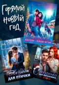 Обложка книги "Горячий Новый год!"