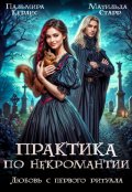 Обложка книги "Практика по некромантии. Любовь с первого ритуала"