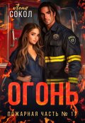 Обложка книги "Огонь"
