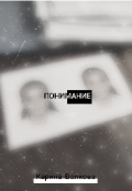 Обложка книги "Понимание"