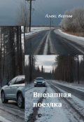 Обложка книги "Внезапная поездка"