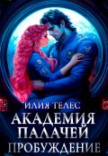 Обложка книги "Академия палачей. Пробуждение"