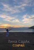 Обложка книги "Стирай"