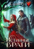 Обложка книги "Истинные враги"