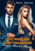 Обложка книги "Декларация девственников. История Витали и Марины"