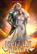 Обложка книги "Крылья пепла"