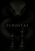 Обложка книги "Супостат"