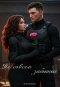 Обложка книги "Не совсем забытые"