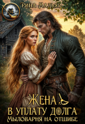 Обложка книги "Жена в уплату долга. Мыловарня на отшибе"