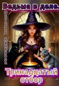 Обложка книги "Ведьма в деле. Тринадцатый отбор"