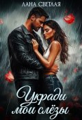 Обложка книги "Укради мои слёзы"