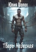 Обложка книги "Тварь небесная"