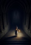 Обложка книги "Вайнскрит"