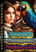 Обложка книги "Операция "Попаданец". Первые шаги"