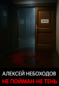 Обложка книги "Не пойман-не тень"