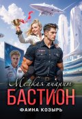 Обложка книги "Мелкая пиарит "Бастион""