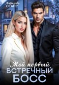 Обложка книги "Мой первый встречный босс"