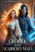 Обложка книги "Огонек для Ледяного Мага"