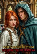 Обложка книги "Ключу от конвектора колдовство не помеха"