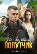Обложка книги "(не)случайный попутчик"