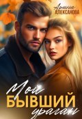 Обложка книги "Мой бывший ураган"