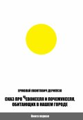 Обложка книги "Сказ про Чевокселя и Почемукселя, обитающих в нашем городе"