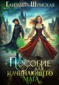 Обложка книги "Пособие для начинающего мага"