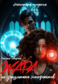 Обложка книги "Жара на факультете магпроектов"