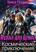 Обложка книги "Мужья для Денис. Космические приключения"