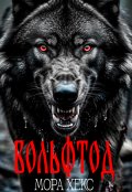 Обложка книги "Вольфтод"