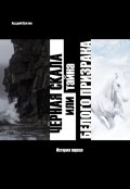 Обложка книги "Чёрная Скала или тайна Белого Призрака: история первая"