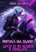 Обложка книги "Ритуал на удачу: дроу и 40 кошек в придачу. Книга 2"