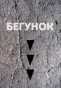 Обложка книги "Часть 3. Бегунок"