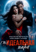 Обложка книги "(не)идеальная пара"