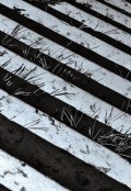 Обложка книги "Чёрная полоса"