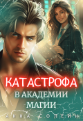 Обложка книги "Катастрофа в академии магии"
