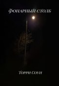 Обложка книги "Фонарный столб"