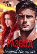 Обложка книги "Развод и Старый Новый год"