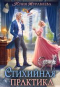Обложка книги "Стихийная практика"