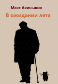 Обложка книги "В ожидании лета"
