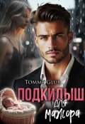 Обложка книги "Подкидыш для мажора"