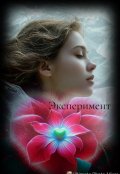 Обложка книги "Эксперимент"