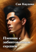 Обложка книги "Пленник с забинтованным сердцем"
