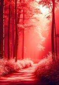 Обложка книги "Лесной Рок"