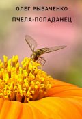 Обложка книги "Пчела-попаданец"